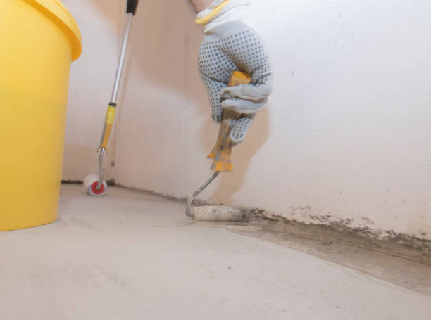 Best Bed Bug Extermination  in Contoocook, NH